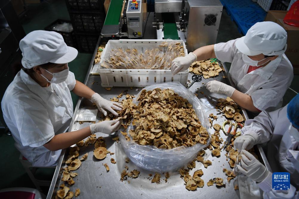 狗博是哪个平台